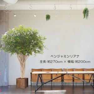 桜 の木 180cm (桜 造花 インテリア 観葉植物 サクラ 春 おしゃれ 室内