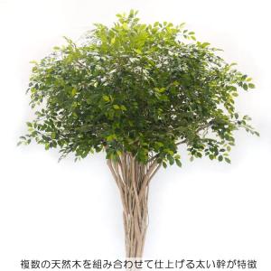 大型 ベンジャミン リアナ 半面型 270cm...の詳細画像1
