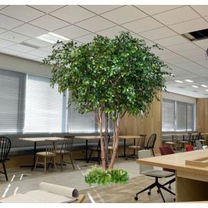 大型サイズ 自然な形 けやき の木 高さ360cm 鉢付き(造花 人工観葉植物