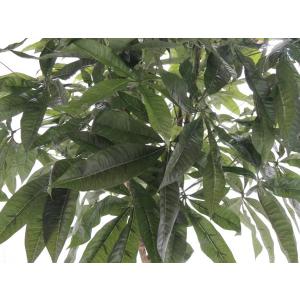 パキラ (観葉植物 鉢植え 造花 インテリア ...の詳細画像1