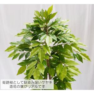 ケヤキの木 100cm (フェイクグリーン リ...の詳細画像3