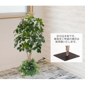 坪庭 洋風 人工観葉 フェイクグリーン の商品一覧 花 ガーデニング 通販 Yahoo ショッピング