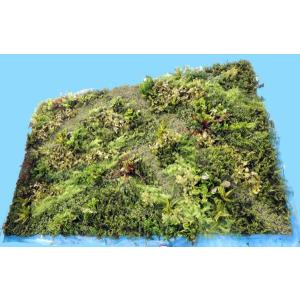 壁面 緑化 パネル グリーン (6分割 大型 目隠し インテリア ウォールデコレーション 造花 フェイク 装飾)