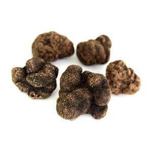 ヒマラヤ産　フレッシュトリュフ　エキストラ約500g