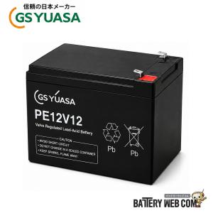【1点限り】【未使用】エナジーウィズ　HP24-12A 蓄電池　バッテリー 日立（HITACHI） HP24-12A エナジーウィズ 制御弁式鉛蓄電池 非常用