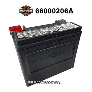 Harley Davidson（ハーレー・ダビッドソン） HD 66000208A ハーレー