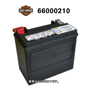 Harley Davidson（ハーレー・ダビッドソン） HD 66000208A ハーレー
