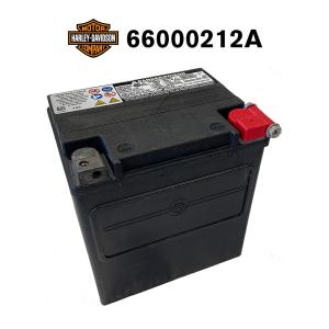Harley Davidson HD 66000207A ハーレーダビットソン 純正 AGM