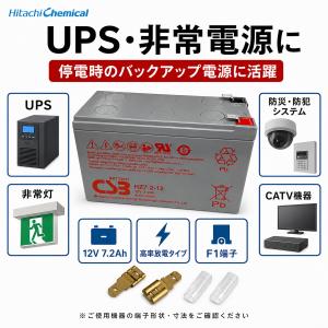 HZ7.2-12 F1 187 エナジーウィズ...の詳細画像3