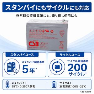 HZ7.2-12 F1 187 エナジーウィズ...の詳細画像5