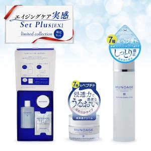 ルミエル ヴァレシア ファンデーション（26g）クリーム（22g）セット