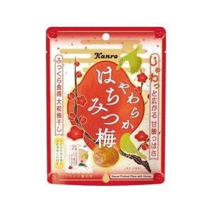 カンロ やわらかはちみつ梅 40g×1袋の詳細画像1