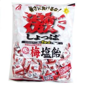 1キロ 激しょっぱ 生梅塩飴×10袋 桃太郎製菓 1kg個装タイプ 熱中症対策に｜amechan