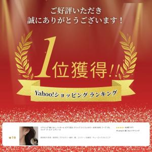 イヤリング 痛くない ノンホール ピアス見え ...の詳細画像1