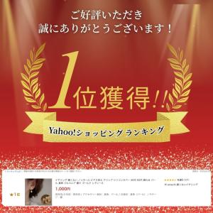 イヤリング 痛くない ノンホール ピアス見え ...の詳細画像1