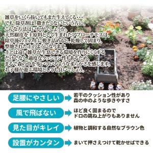 除草剤 安全 防草 アプローチモス 雑草対策 ...の詳細画像2