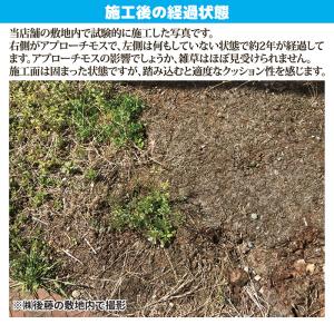 除草剤 安全 防草 アプローチモス 雑草対策 ...の詳細画像4