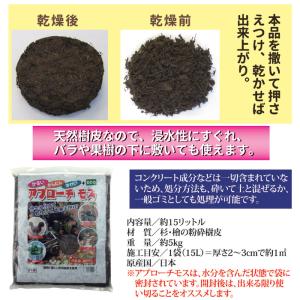 除草剤 安全 防草 アプローチモス 雑草対策 ...の詳細画像5