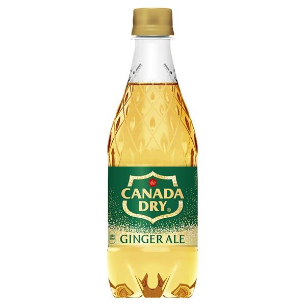 カナダドライ ジンジャーエール 500mlPET×24本