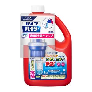 LION（ライオン） パイプマン スムースジェル 2L×6本 業務用 [ パイプ