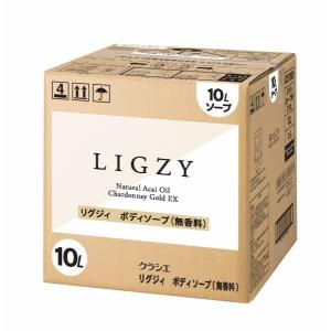 クラシエ LIGZY（リグジィ） ボディソープ 無香料 10L｜amenityshop