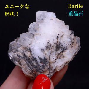 ムラーノ ガラス コンポート / ベネチアングラス ムラノガラス 陶器