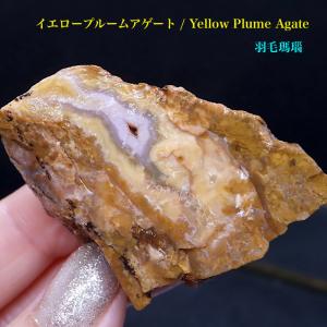 鉱物標本 60種 解説付き : シータスク ヤフーショップ - 通販