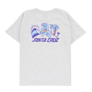 サンタクルーズ ユース 半袖 Tシャツ アッシュ キッズ 子供服 スケートボード SANTA CRUZ YOUTH KIDS BEACH BUM HAND SCENE S/S T SHIRT ASH｜americanrushstore