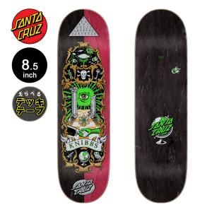 SANTA CRUZ（サンタクルーズ） スケボー デッキ 8.2 ASTA SPACE CAT