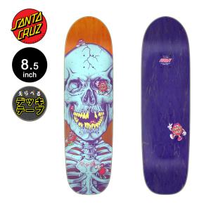 サンタクルーズ SANTA CRUZ スケボー デッキ 8.5 FEELBASE DOT DUDES DECK スケートボード ストリート 板（2510）