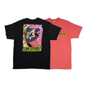 SANTA CRUZ（サンタクルーズ） SANTA CRUZ SCREAMING HAND S/S REGULAR