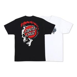 SANTA CRUZ（サンタクルーズ） SANTA CRUZ DRESSEN EVO S/S REGULAR T