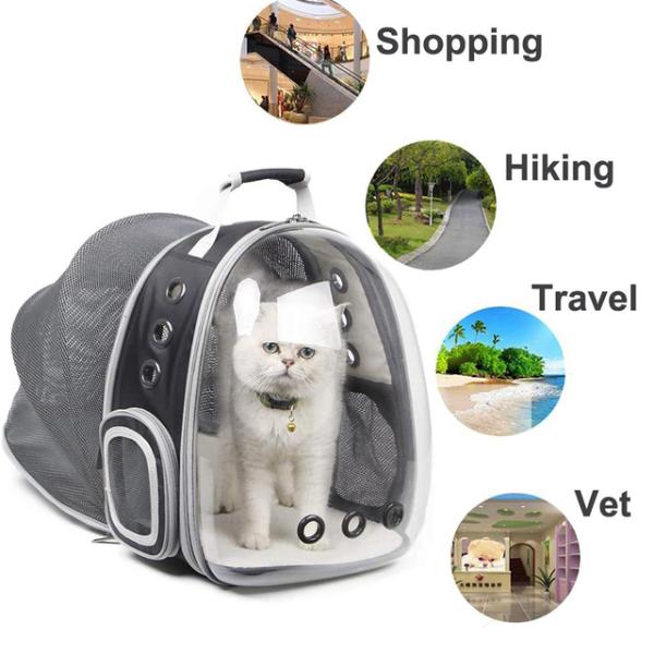猫用の拡張可能なバックパック,旅行用,屋外での散歩用,猫用の機器