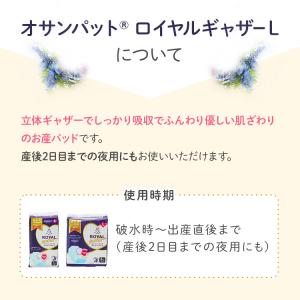 お産パッド お産用パッド お産パット 産褥パッ...の詳細画像2