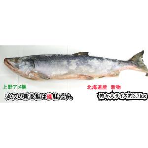 新巻雄 鮭 特大サイズ 約3 2ｋｇ 21新物 北海道産 アキアジ 秋鮭 白鮭 送p300 Aramakitokudai アメ横海産物の丸茂商店ヤフー店 通販 Yahoo ショッピング