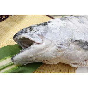 銀鮭(新巻)　一本物　宮城産　脂のってます【ギンザケ　サケ　シャケ】約3ｋｇ前後　25新物　　国産　...