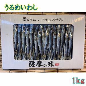 うるめいわし　丸干し　乾物　1ｋｇ　鹿児島産 約80-200匹前後　化粧箱入　原則普通便　【ウルメ　イワシ　ウルメ丸干し】送P150　2個迄同一送料｜ameyokomarumo2