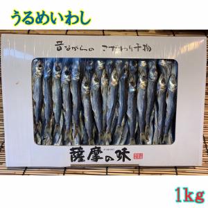 うるめいわし　丸干し　上乾　乾物　1ｋｇ　鹿児島産 約85-115匹前後　化粧箱入　原則普通便　【ウルメ　イワシ　ウルメ丸干し】送P150　2個迄同一送料｜ameyokomarumo2