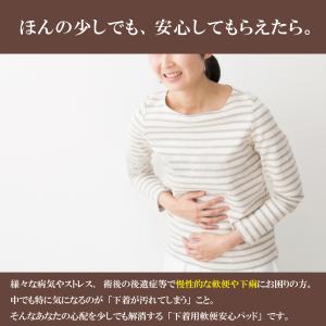 軟便安心パッド 軟便モレ 大人用紙おむつ パッ...の詳細画像1