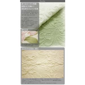 シートクッション 約50x50cm neutralの詳細画像2