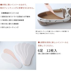 コロンブス 1週間で交換する フレッシュ&am...の詳細画像2