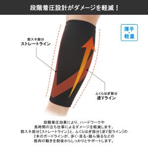 モリト ブラックサポーター 着圧 ふくらはぎ用...の詳細画像1