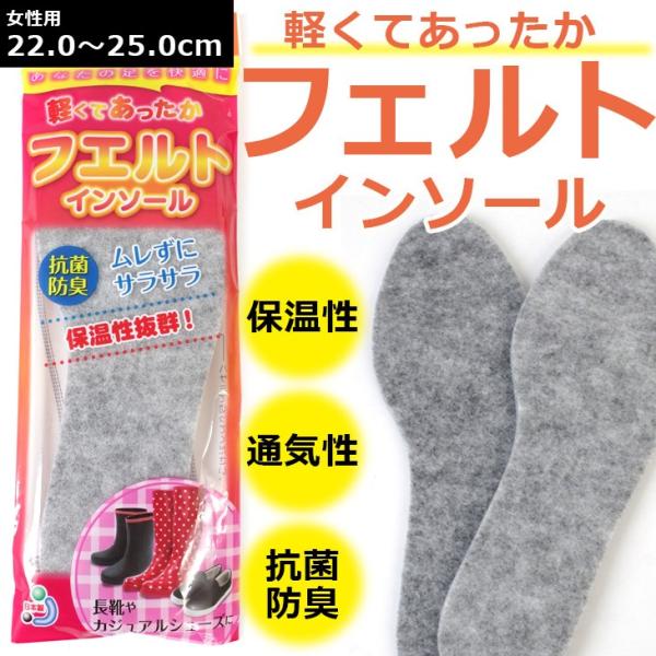 アミアミ is-fit フェルトインソール 女性用 レディース 22.0〜25.0 amiami イ...