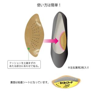 is-fit らくらくアーチパッド 女性用 レ...の詳細画像3
