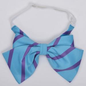 ラブライブ 国立音ノ木坂学院 女子制服 リボン 1年生