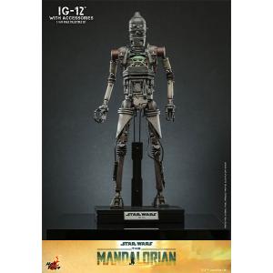 テレビマスターピース 『マンダロリアン』 1/6 IG-12＆アクセサリー 