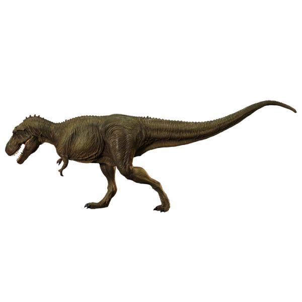 ティラノサウルス タイプB ミドル ソフビキット復刻版[海洋堂]《０７月予約》