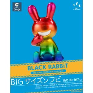 BLACK RABBIT パステルレインボー 185% BLACK RABBiT BIG SOFVI COLOR:パステルレインボー - スタジオ