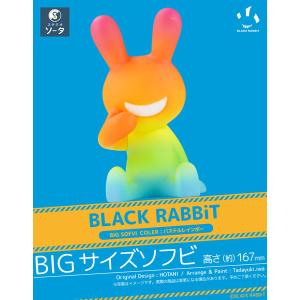 BLACK RABBiT BIG SOFVI COLOR：パステルレインボー [SO-TA] - 最安値