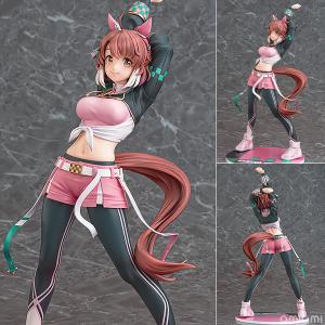 ウマ娘 プリティーダービー ダンツフレーム 1...の詳細画像1